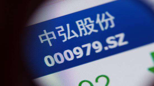 中弘股份 (3).jpg