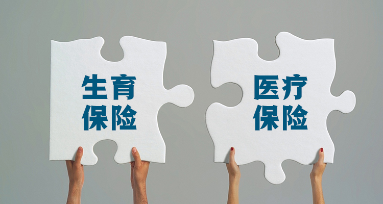 1553675100296023792.jpg 生育保险.jpg