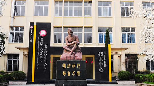 贵州百灵缩略.jpg
