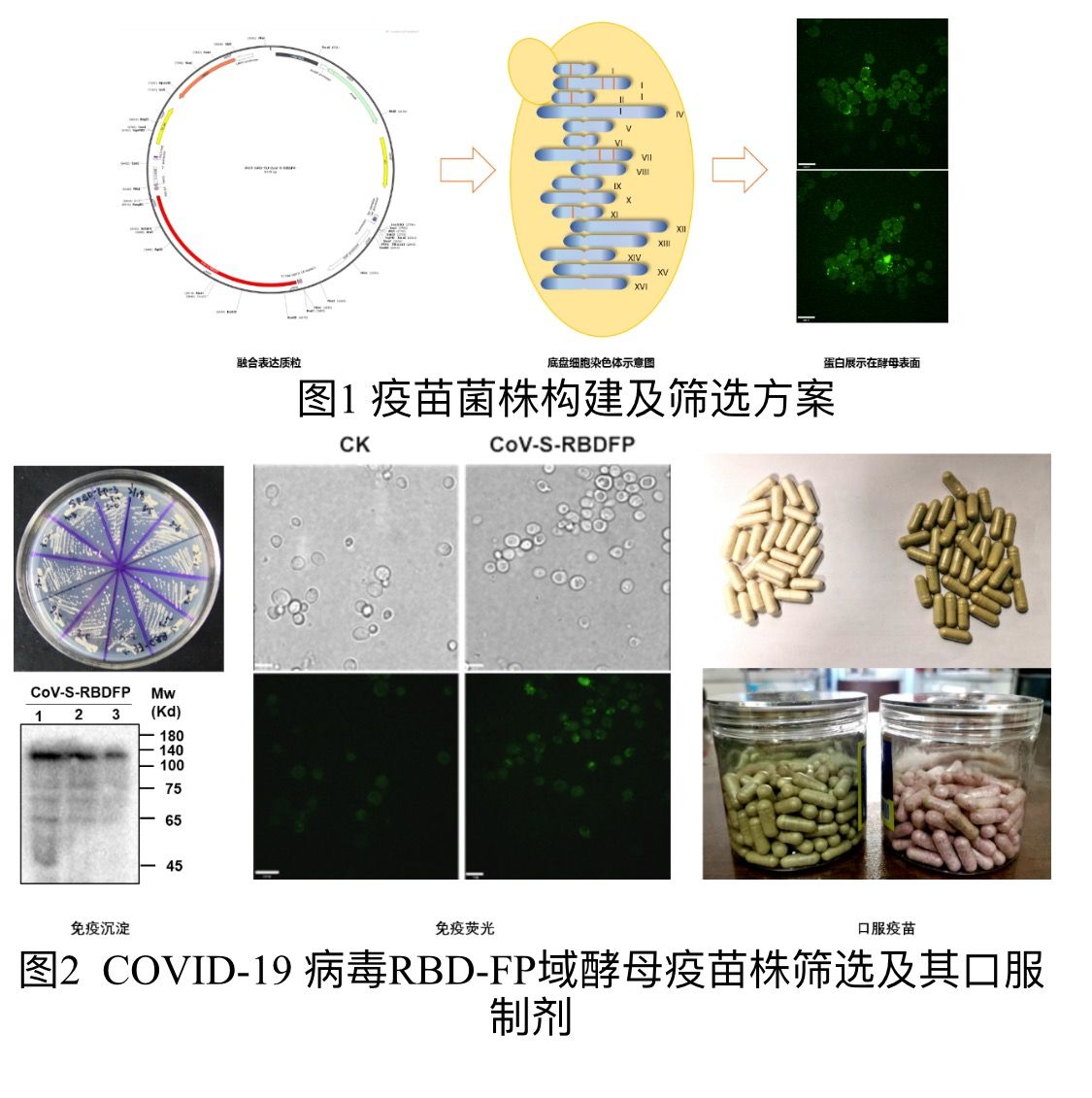 3e9c-ipzreiv9051434.jpg