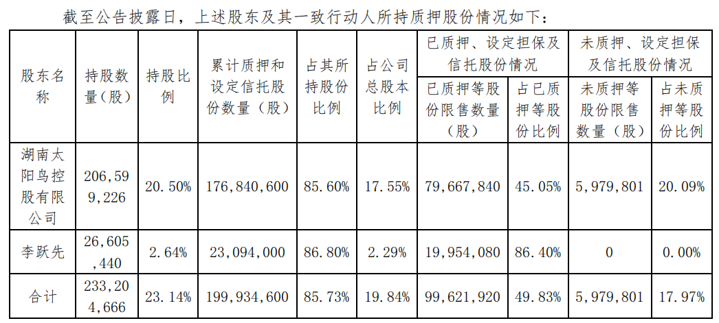 质押.jpg