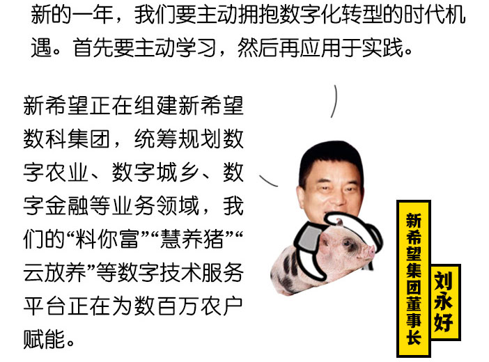 鍥惧眰15.jpg