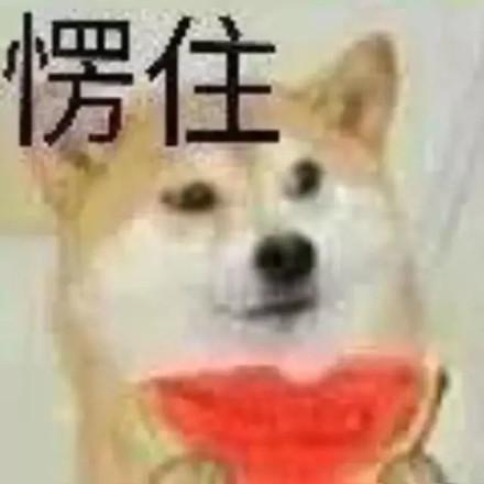 u=377387707,619092457&fm=26&gp=0.jpg