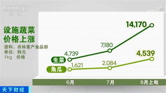 白菜价格上涨.jpg