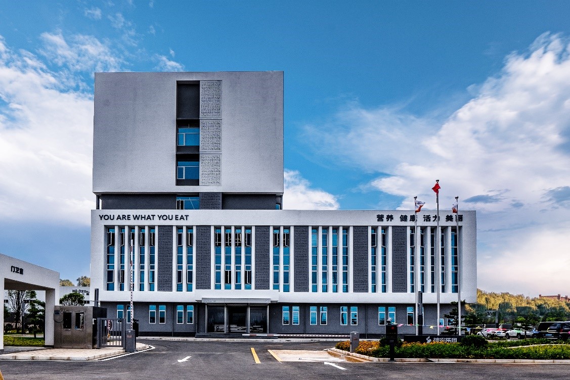 神农种业(300189)强势股分析:政策与业绩双重驱动下的资金博弈