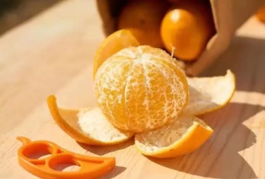 肇庆90后“新农人”陈慧代表：抓住RCEP机遇，让广东柑橘销往全球