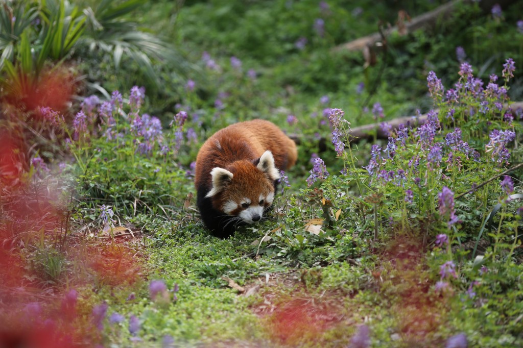 conew_8x6a7742-ff025385-f587-46d4-9ad6-7c1d350964e8.jpg