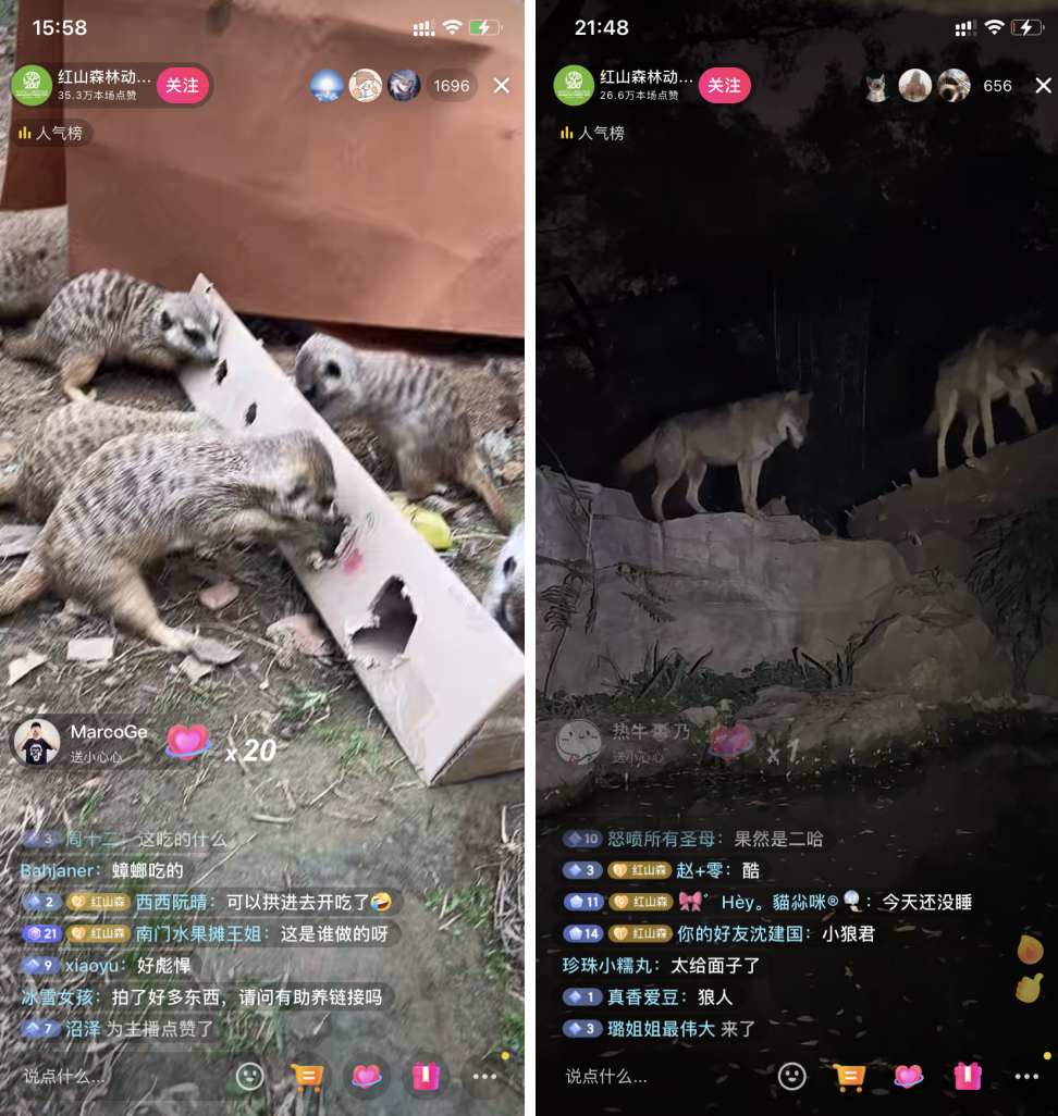 截屏2022-11-11 上午11.55.38.png