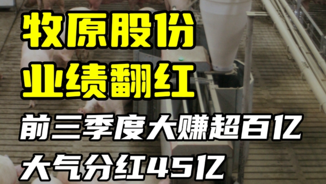 牧原股份业绩翻红  前三季度大赚超百亿 大气分红45亿