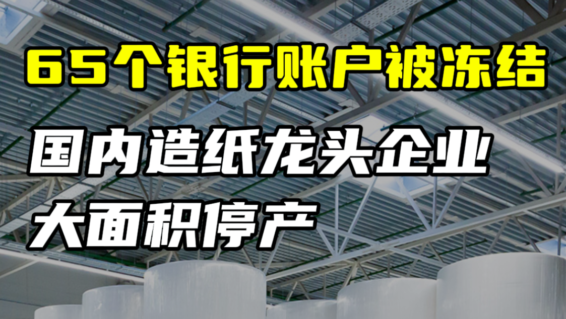 国内造纸龙头企业大面积停产