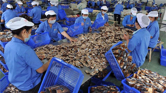 这省下令封杀槟榔广告 曾催生草根富豪和千亿企业