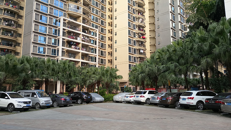 P61113-153602.jpg
