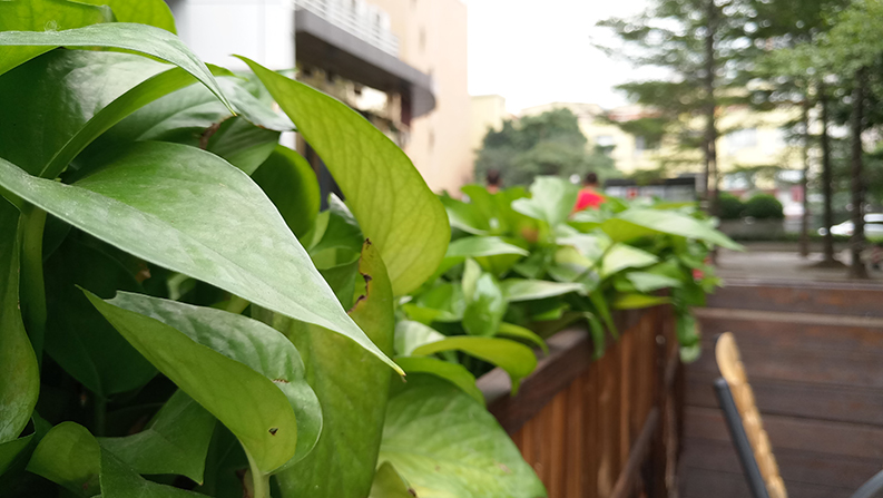 P61113-142335.jpg