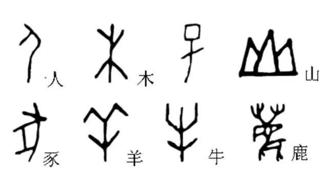 1480322184486070845.jpg a1c16d8.jpg