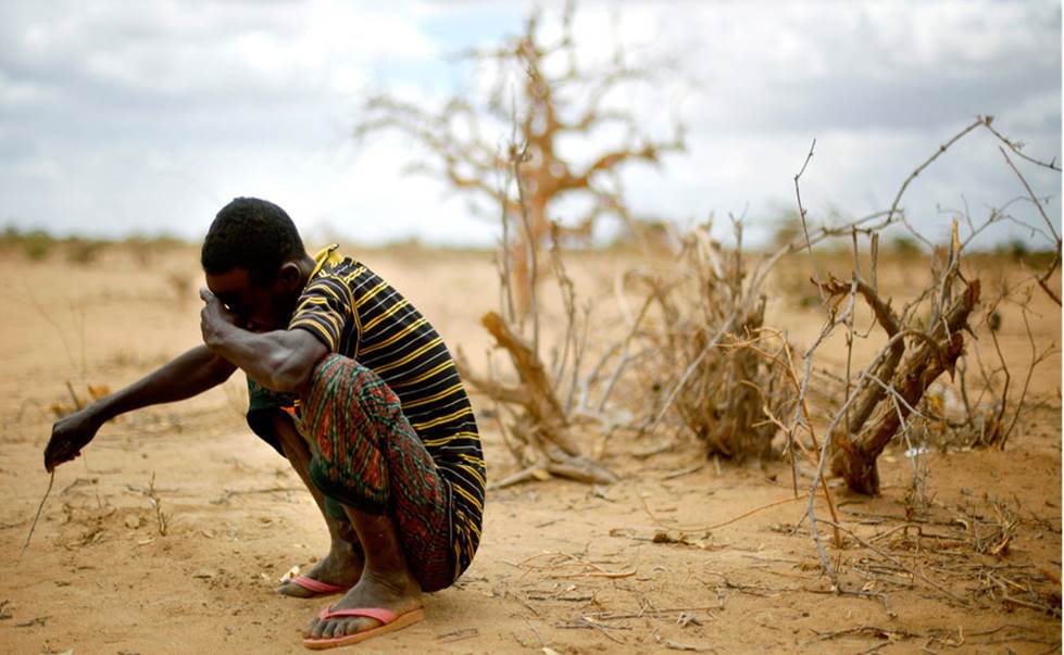 1490086644568033344.jpeg 1030475.jpeg