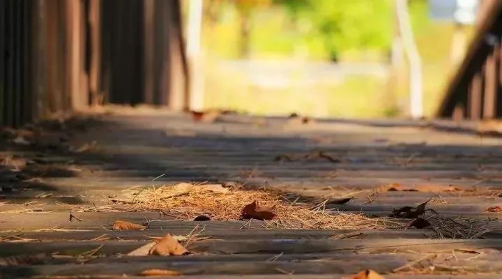 1512909965915011956.jpg 微信图片_20171210203445.jpg