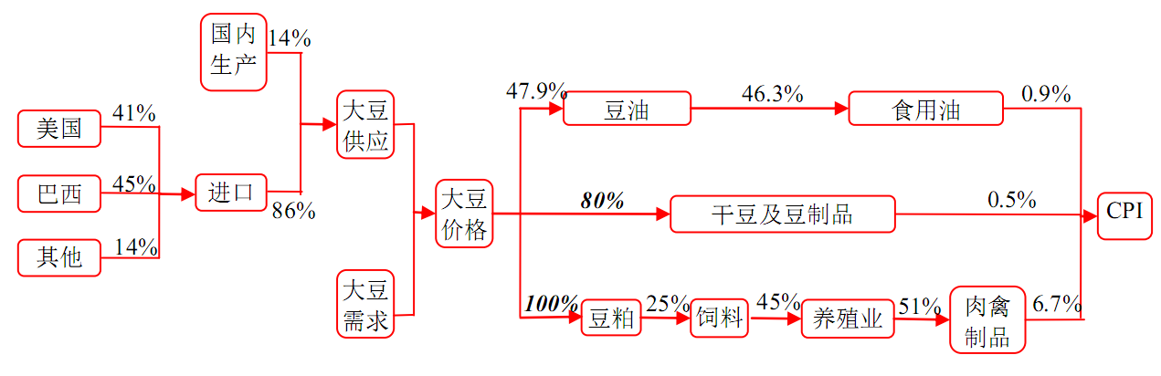 大豆思维导图图片